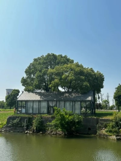 1 1